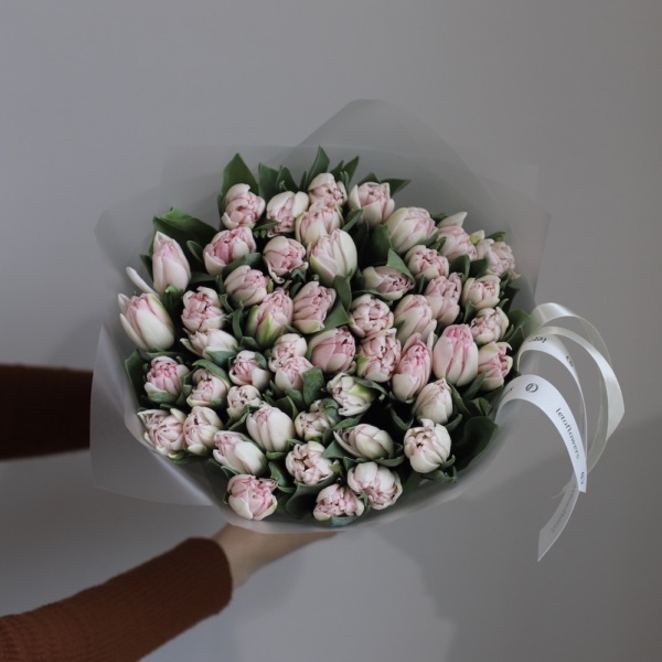 Light-pink Tulips -  49 тюльпанов 