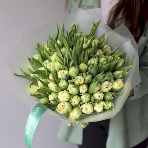 Yellow Tulips