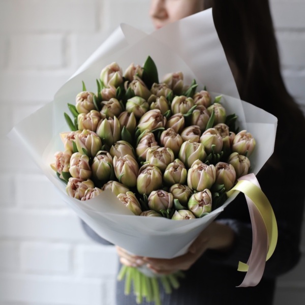 Light-pink Tulips - 49 тюльпанов