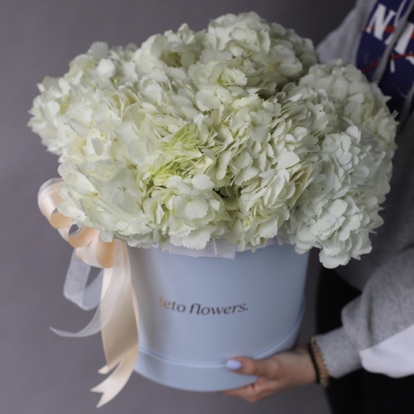 Colombian Hydrangeas in a hat box Colombian Hydrangeas in a hat box - Размер L