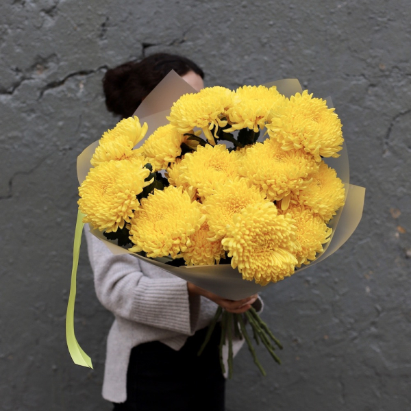 Large yellow Chrysanthemum -  19 хризантем 