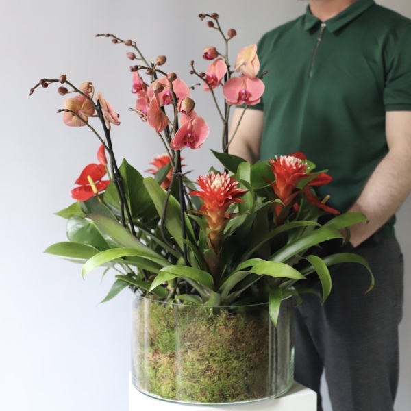 Arrangement 'Tropical Mix' Arrangement 'Tropical Mix'