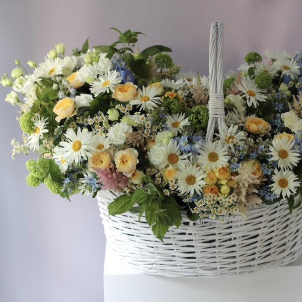 Field Signature basket - Размер между 5XL и 6XL