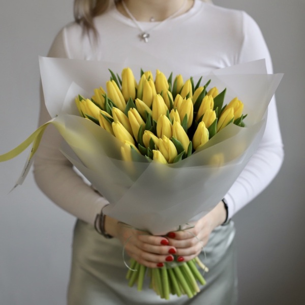 Yellow Tulips -  49 тюльпанов