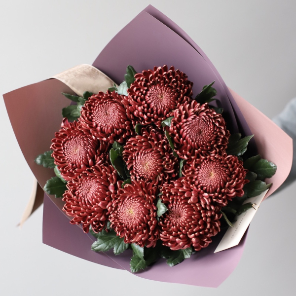 Chocolate Chrysanthemum - 9 хризантем