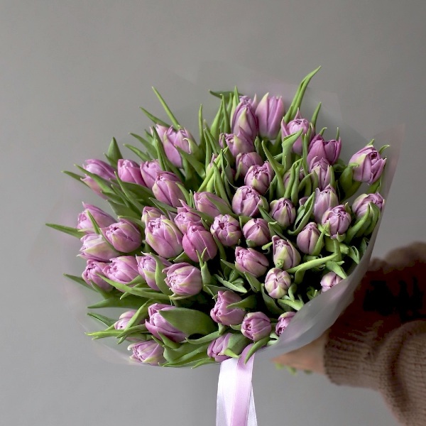 Lilac Tulips - 49 тюльпанов