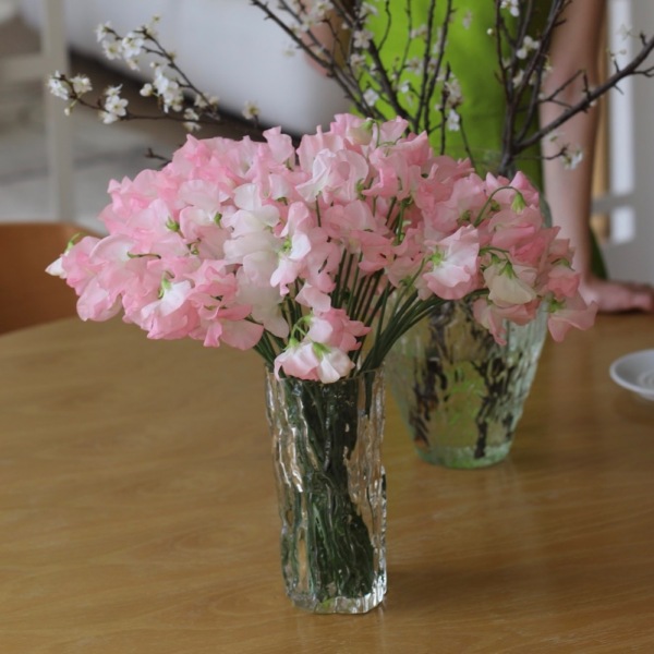 Sweet Pea in a vase - 29 горошков (ваза может отличаться)