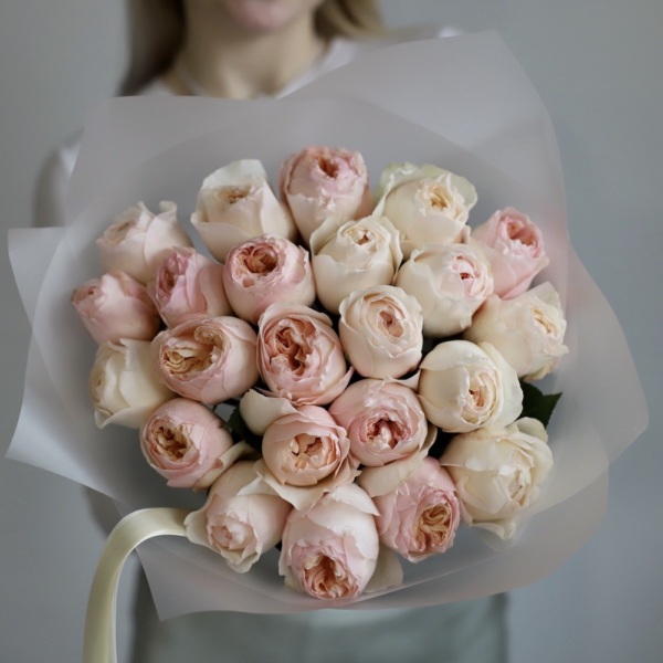 Juliet David Austin Rose - 23 розы