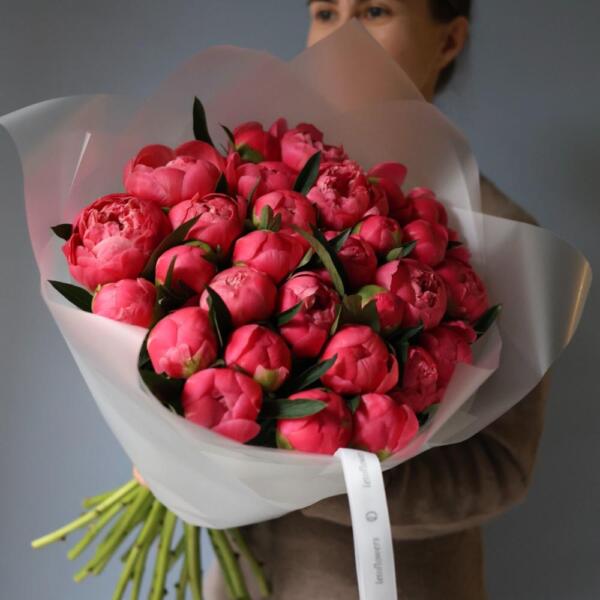 Coral Peony - 29 пионов