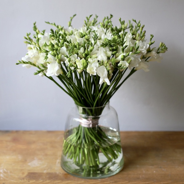 Freesias in a vase - 75 фрезий