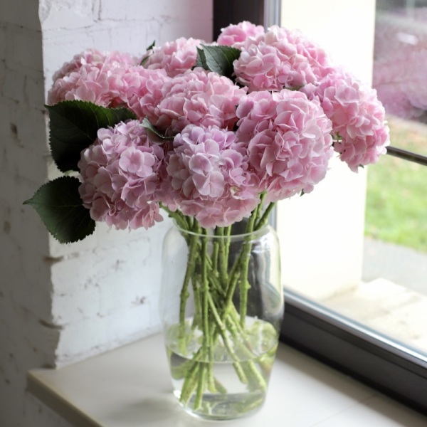 Hydrangeas in a vase - 15 гортензий  (ваза может отличаться)