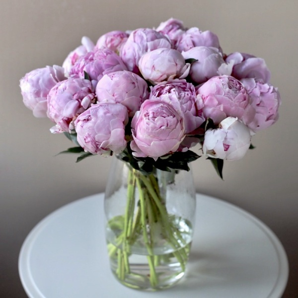 Pink Peonies in a vase - 19 пионов