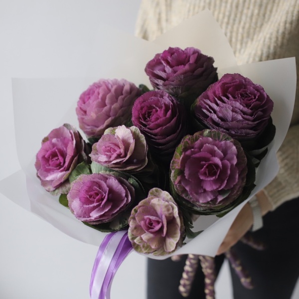 Brassica - 9 брассик