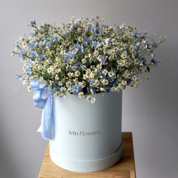 Daisies with Oxypetalum in a hat box - Размер L