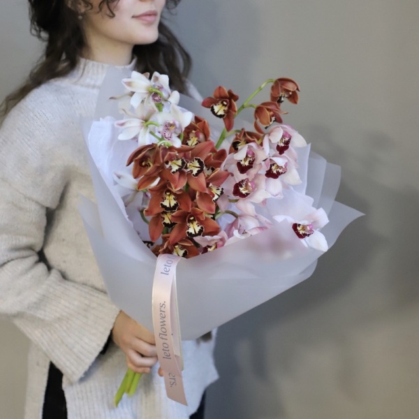 Cymbidium mini Orchid  - 3 цимбидиума 