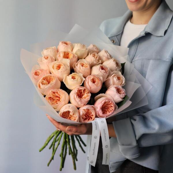 Juliet David Austin Rose - 23 роз