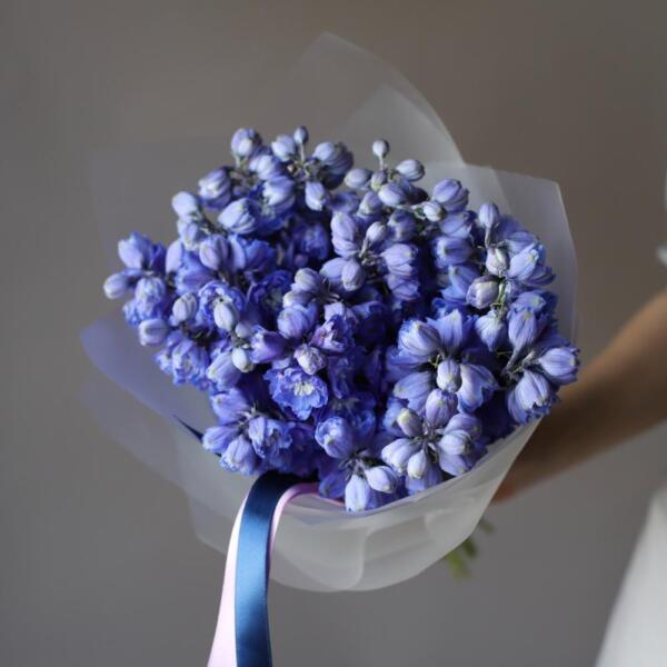 Blue Delphinium - 19 дельфиниумов