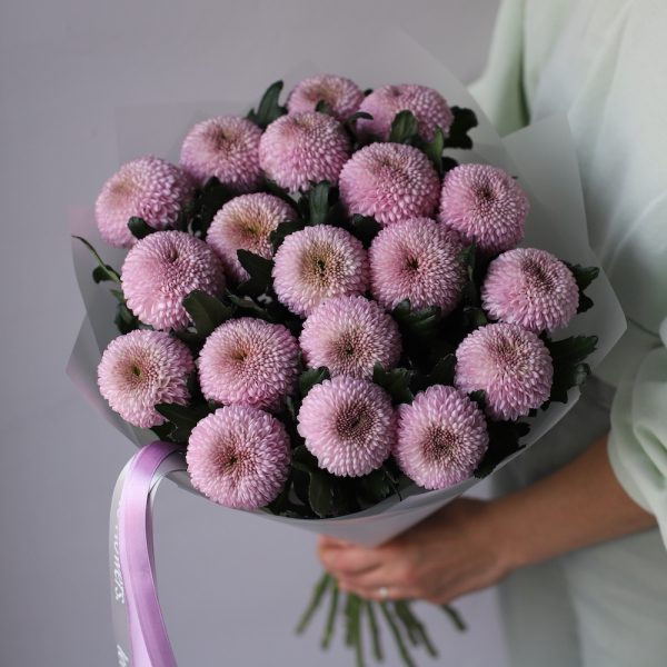 Purple Chrysanthemum - 19 хризантем
