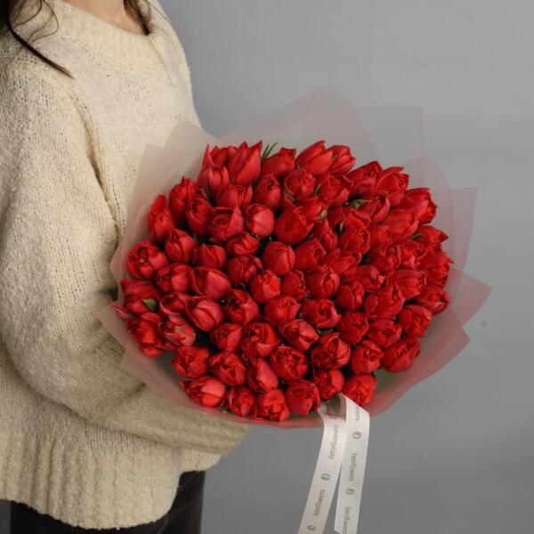 Red Tulips - 75 тюльпанов
