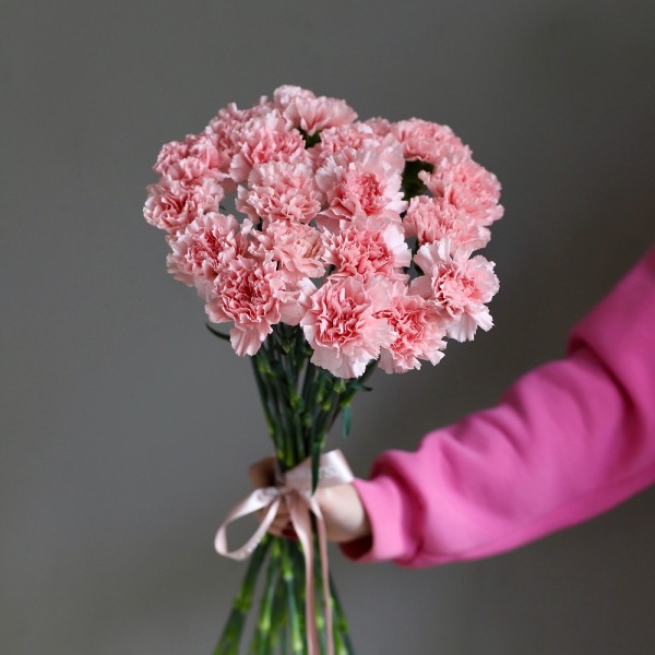 Pink Carnations -  19 гвоздик 