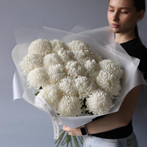Large white Chrysanthemum - 19 хризантем