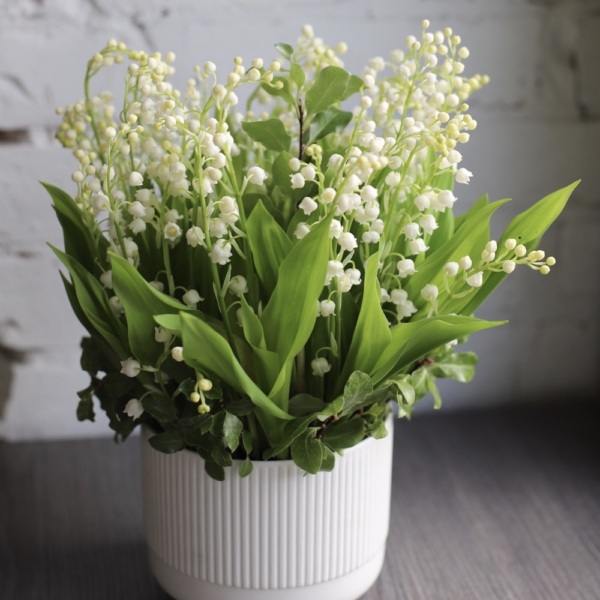 Lily of the Valley in a ceramic pot -  49 ландышей 