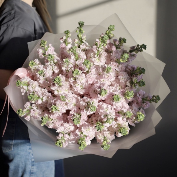 Pink Stock - 39 маттиол