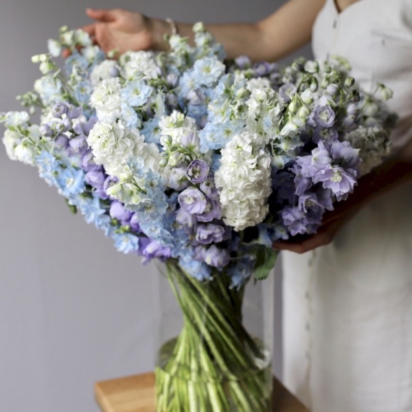 Stock and Delphinium in a vase - Размер L 