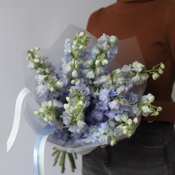 Lavender Delphinium -  15 дельфиниумов 