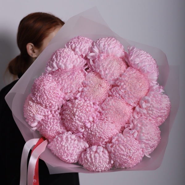 Large pink Chrysanthemum - 19 хризантем