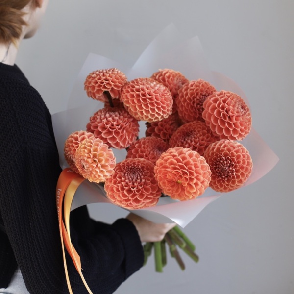 Orange Dahlia - 15 георгин