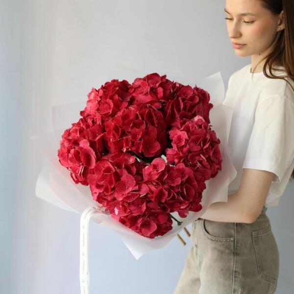 Bright pink Hydrangea - 9 гортензий