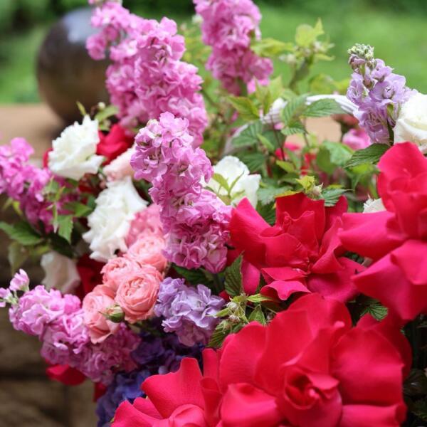 Signature basket-surprise, bright