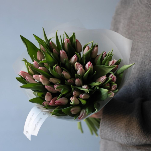 Light-pink Tulips - 49 тюльпанов