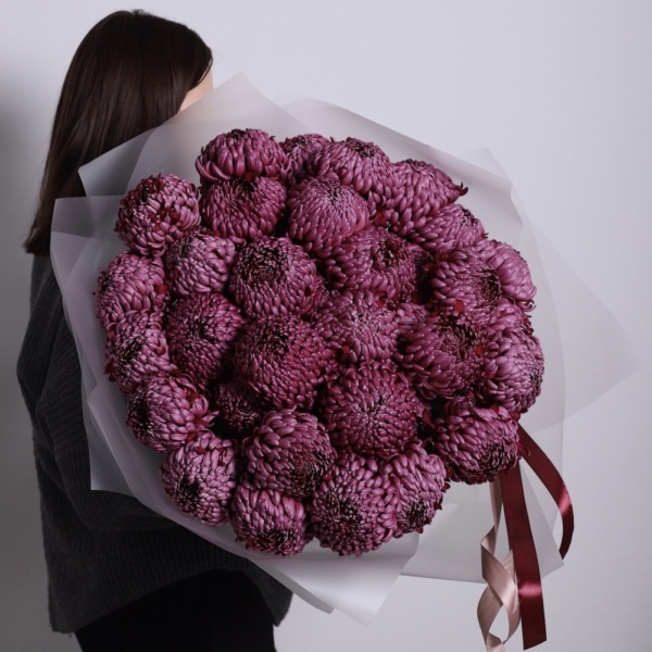 Violet Chrysanthemum - 39 хризантем