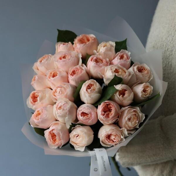 Juliet David Austin Rose - 23 роз