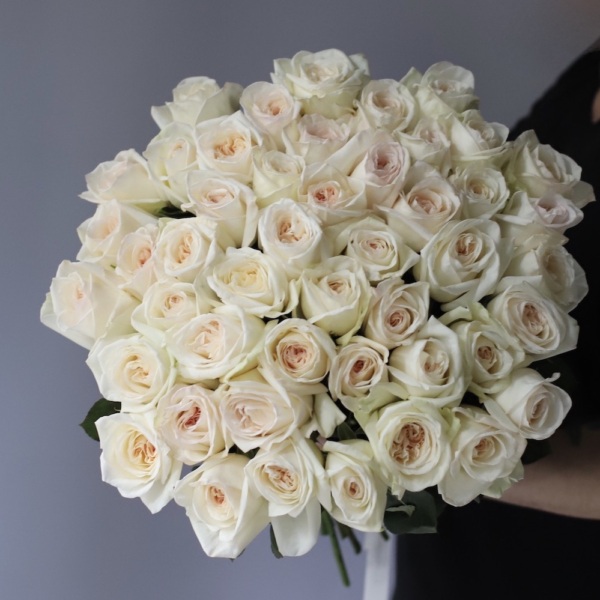 White Ohara Rose - 47 роз 