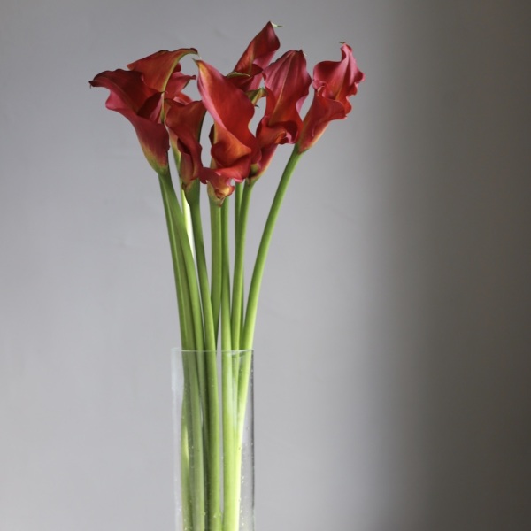 Calla Lilies in a vase - 9 калл