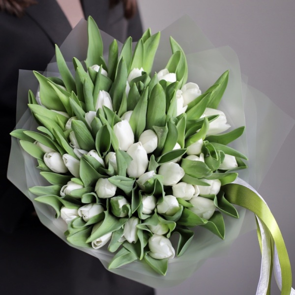 White Tulips - 49 тюльпанов