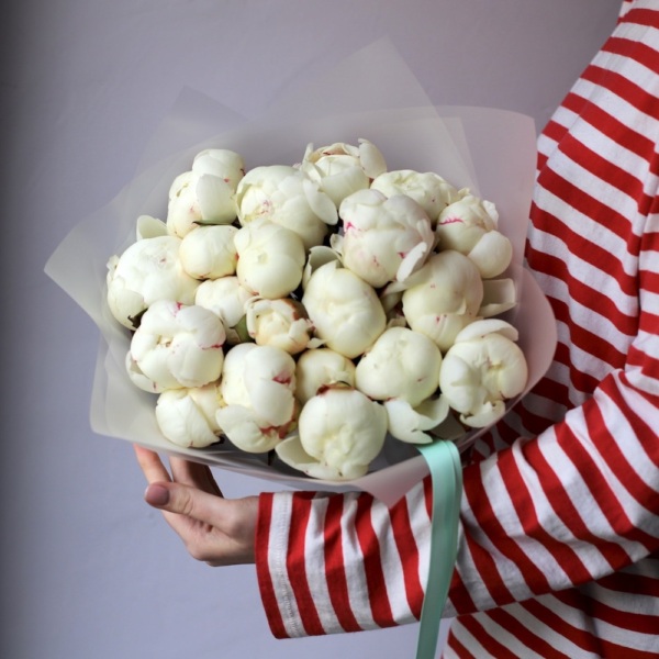 White Peony - 19 пионов