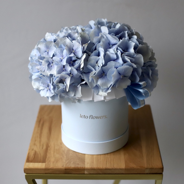 Hydrangea in a hat box - Размер S