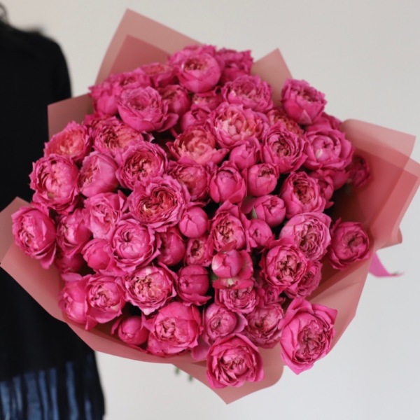 Juliet Cherry spray rose - 19 кустовых роз