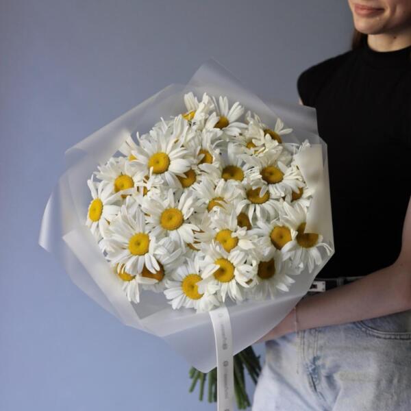 Large Chamomile - 49 ромашек