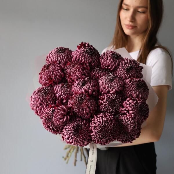 Violet Chrysanthemum - 19 хризантем