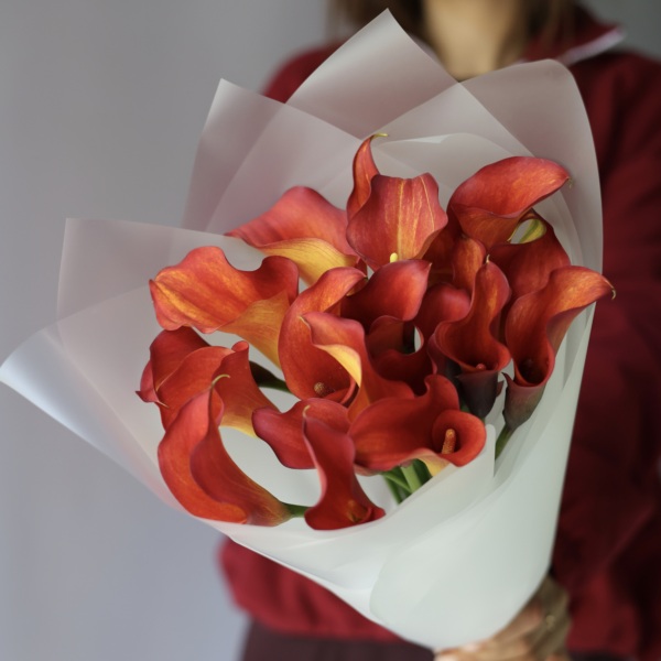 Red Calla Lilies - 19 калл 