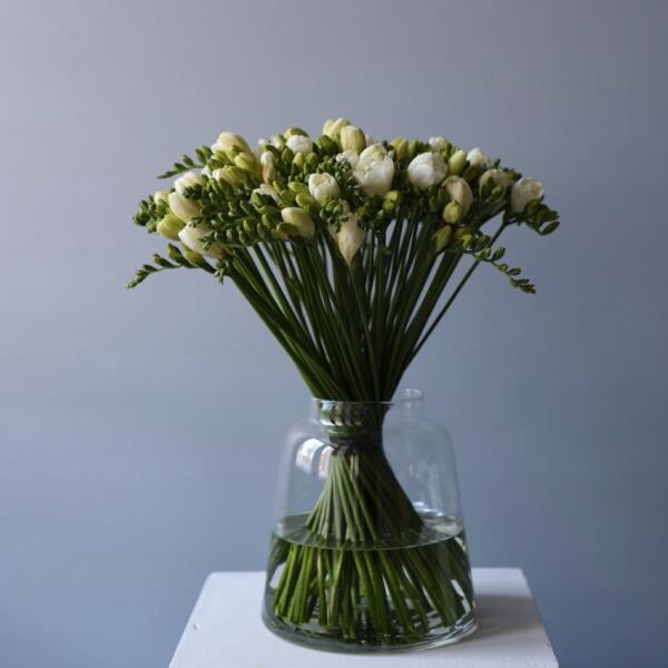 Freesias in a vase - 75 фрезий