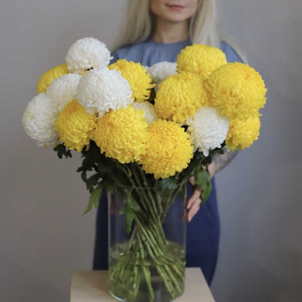 Large Chrysanthemum in a vase - 29 хризантем