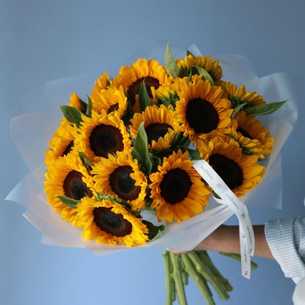 Sunflower - 19 подсолнухов