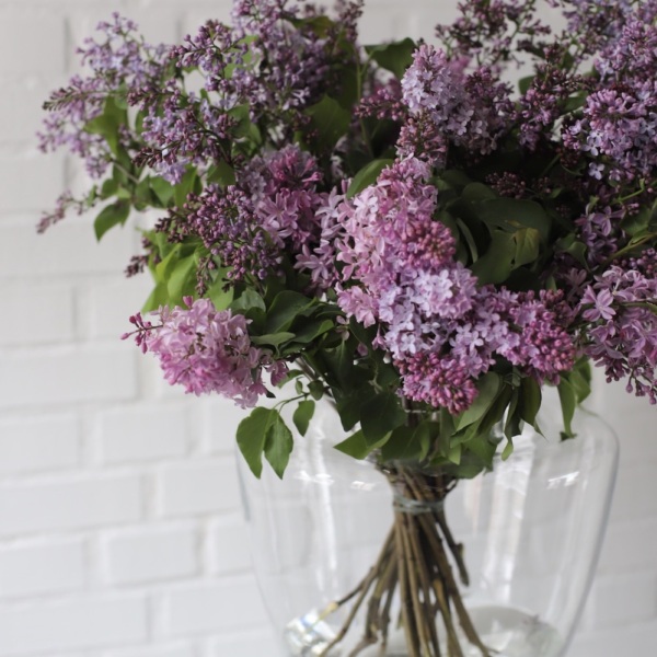 Local Lilac in a vase - Размер M (ваза может отличаться)