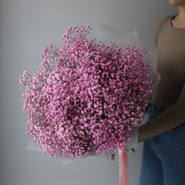 Pink Baby's Breath - 15 гипсофил